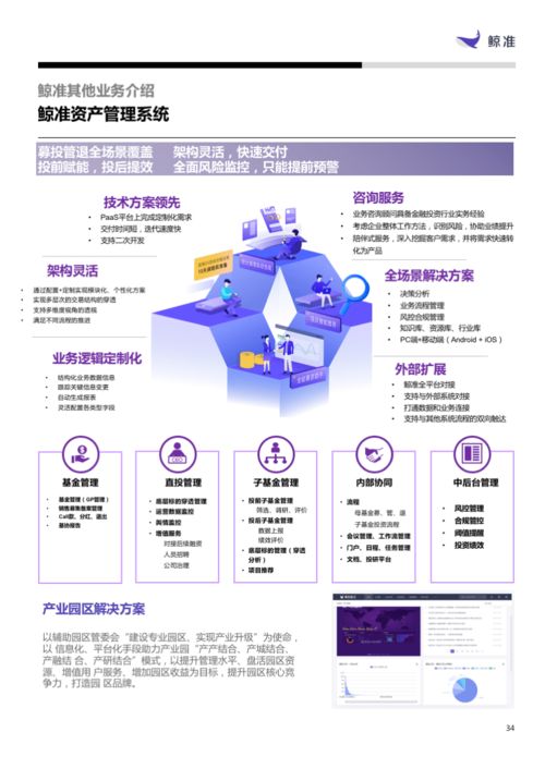 軟件與服務(wù)板塊表現(xiàn)搶眼，信息技術(shù)咨詢服務(wù)引領(lǐng)增長